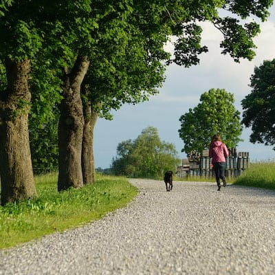 Person läuft zusammen mit Hund auf einem Feldweg.