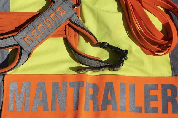 Mantrailing Ausstattung