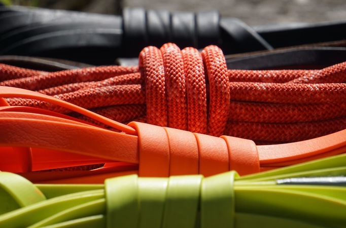 Hundeleinen und Hundegeschirre