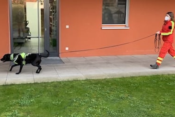 Mantrailing Team im Einsatz