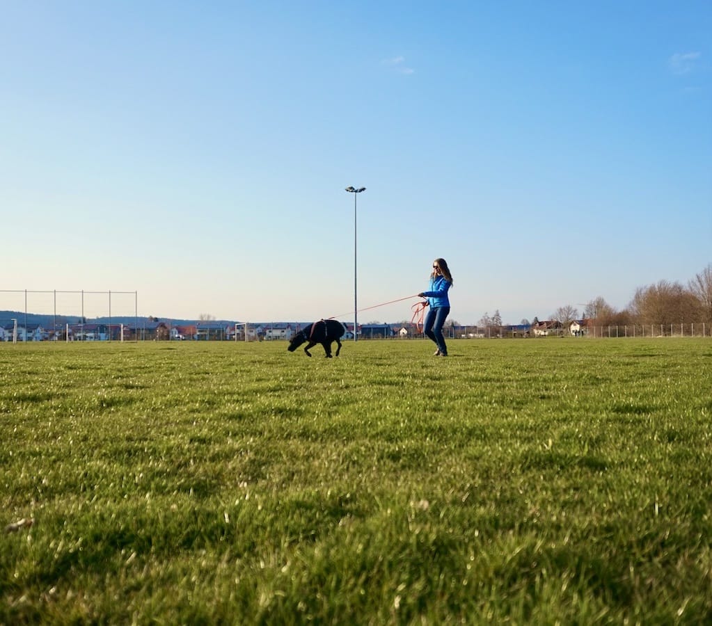 Schwarzer Hund an orangefarbener Leine läuft vor einer Person über den grünen Rasen eines Sportplatzes
