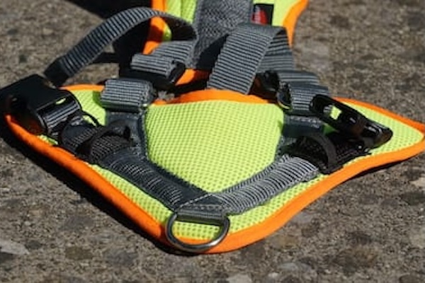 Mantrailing Hundegeschirr