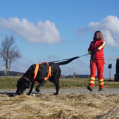Mantrailer im Einsatz